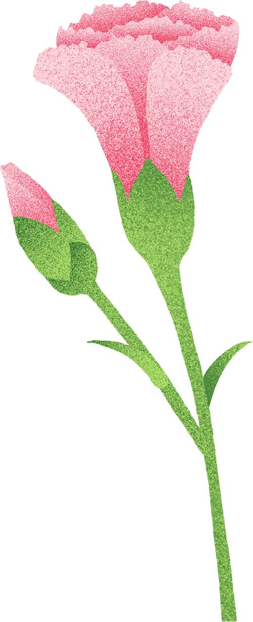 区开展母亲节系列文明实践主题活动pg电子