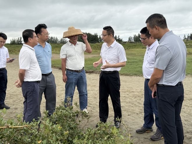 示：抓紧清理台风倒树谋划红树林旅游！pg电子模拟器免费版湛江市领导最新指