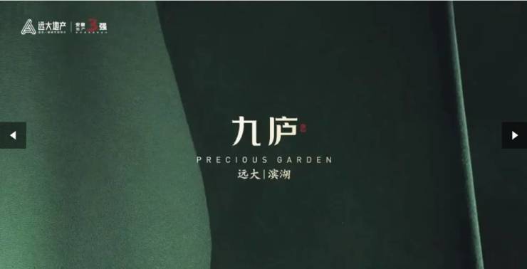 庐项目户型图-优惠pg电子中国远大九